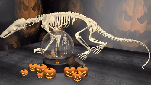 Item #63556453619952844717317390072061385539501855186743022311638364087099389378561 Media