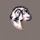 45562548876151860785059149528726962104647534833064008813081785377405127360513