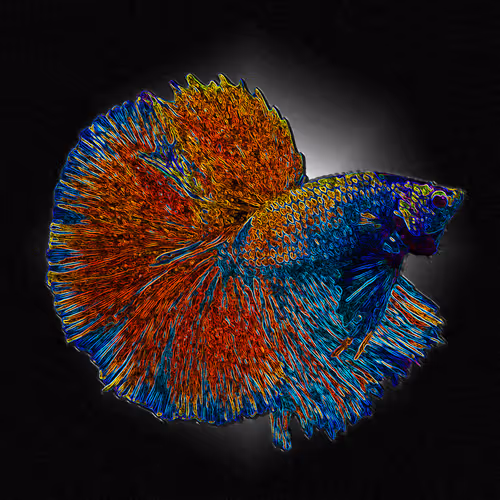 Item #73423654428024661336379470947819889295714855264791127270755008434683609350164 Media