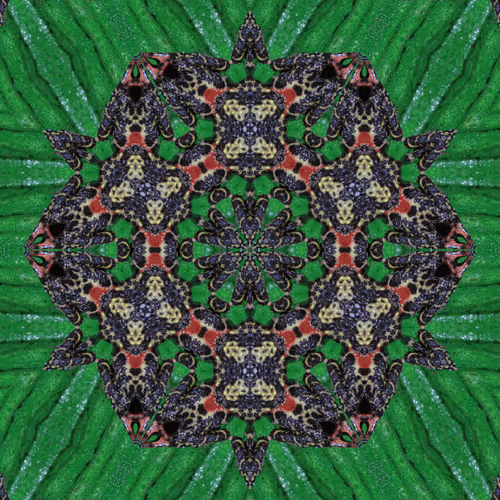 Item #56574662259603682151245989215512264543106181545014608248201408228509358227457 Media