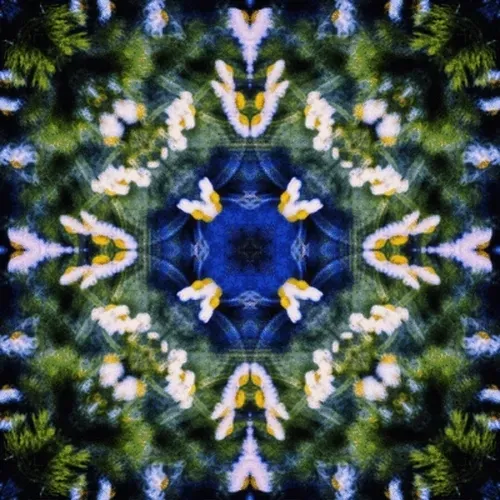 Item #33273431064062745158281459223994481396408298461003960329838769681036904235013 Media