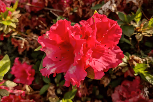 Item #39075669952795110311488058078452160275975432518977374571902800558541647118337 Media