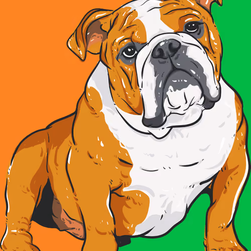 #105 Bulldog