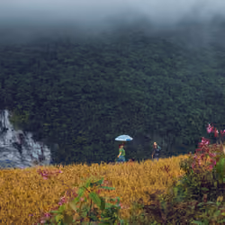 Beautiful people of the tropics #16