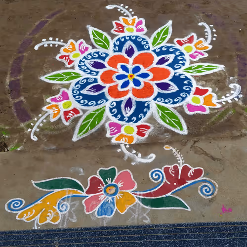 Untitled Collection #206411205