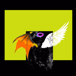 wings #29