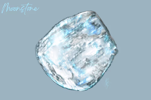 Item #85141354714833614509806319782789039138473253974235521479469238672550923337729 Media