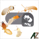 24705041787920661933578063921032196695044586853584662932146667929198512832517