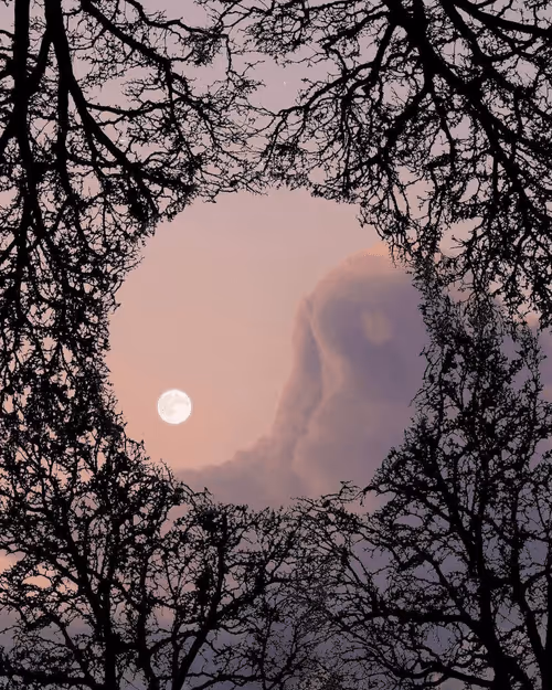 Item #83462484926125179177933876272722647181473475967863052278931111154827120345089 Media