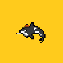 Crypto Whale #28