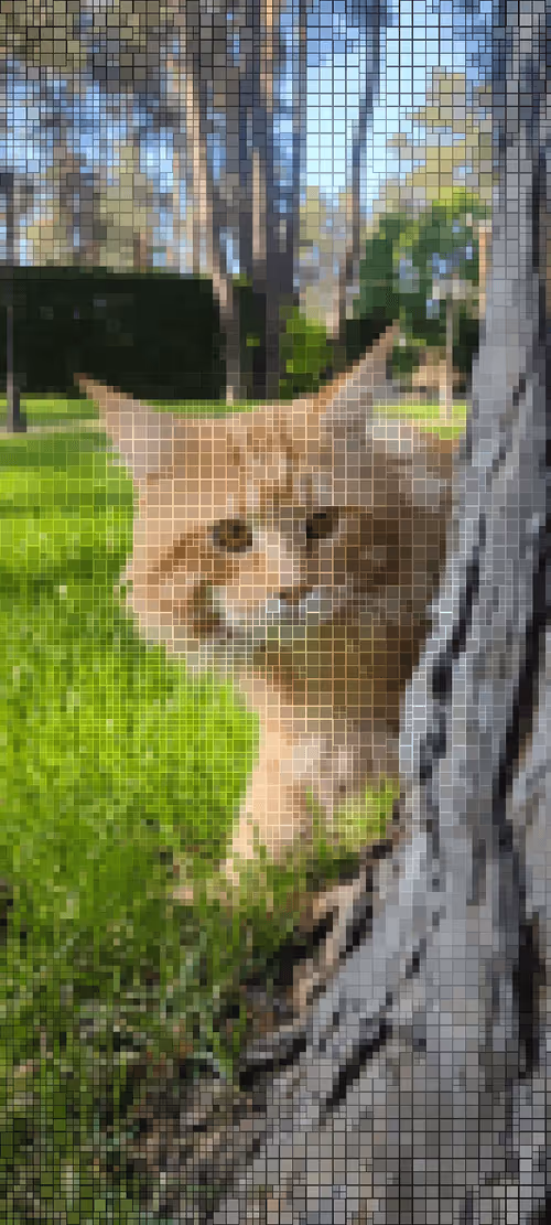 Item #111823987962158685130684126257338001931887706049197263774601980106467803398145 Media