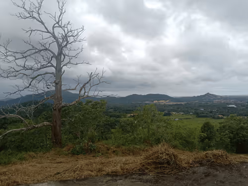 Item #14182948825637322263581052218093898829294346896522988044096690684688318070884 Media