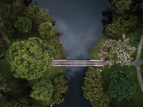 Item #42367402454926581942619760928835310535724341624545693814929607844005058445317 Media