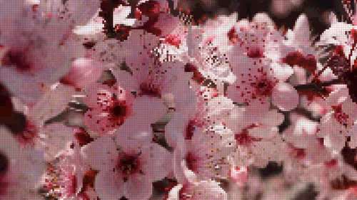 Item #75866091947728652238534111254584504918190435733442380629681527376839209648129 Media