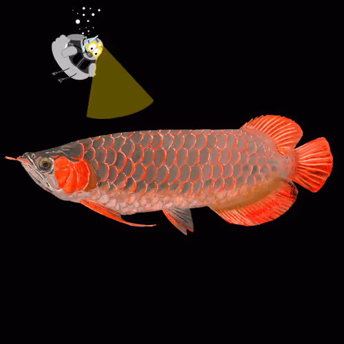 Item #61091408934967404937841837105472836457920431344854666514575189794618754465793 Media