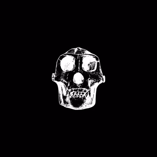 Item #16818310322441417686407189656156422306417741609068154957336743983573725347857 Media