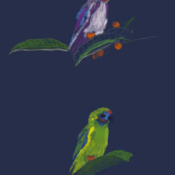 parrot3