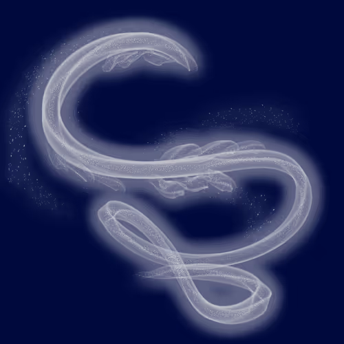 Item #79922358363691255321444568387952983801156131754257850446438884523508341145601 Media