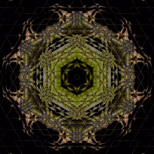 Item #56574662259603682151245989215512264543106181545014608248201408231807893110785 Media