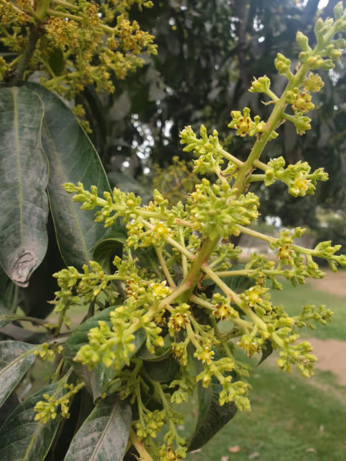 Item #95978401412835332122205705653308444161479658847898269659039166805533266018305 Media