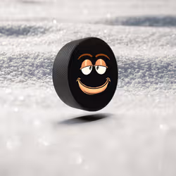 3430565109855428148014555979724028545778279334899879716249393185785462652929