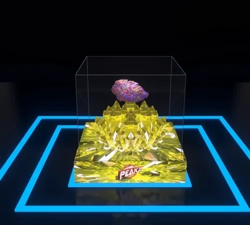 Item #30416664768498730083160680636723480070814186252642691524355120864884288389121 Media