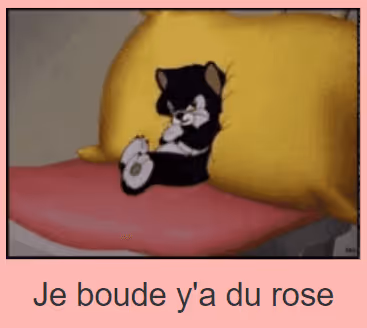 Untitled Collection #53212577