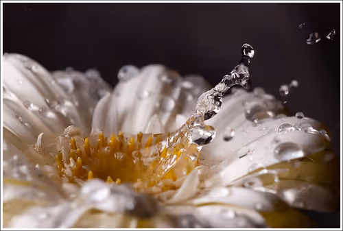 Nature Photographer 177169894