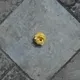 20606594638193961782616267632074913376434958221362708509364622265357766230017