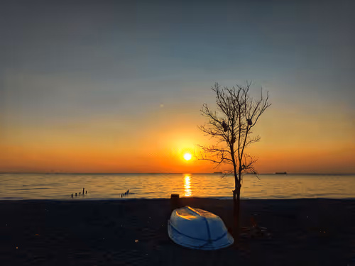 Item #66820219221198918858103330238748166887962299943803224281381121423768463343617 Media