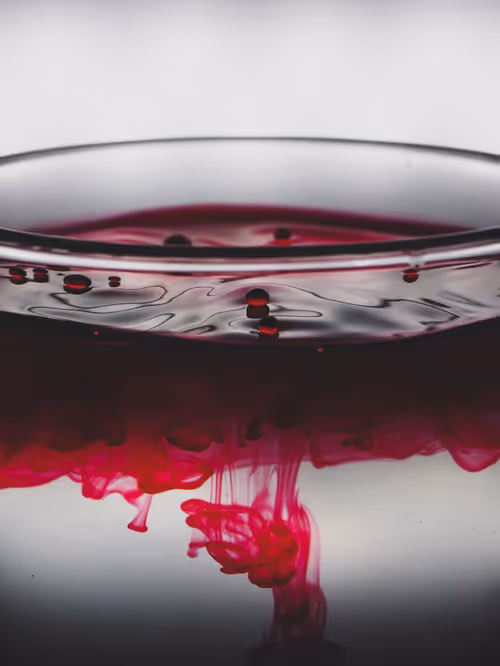 Item #39391070493116977564899321791408150162796374052111424108014134434841499795457 Media