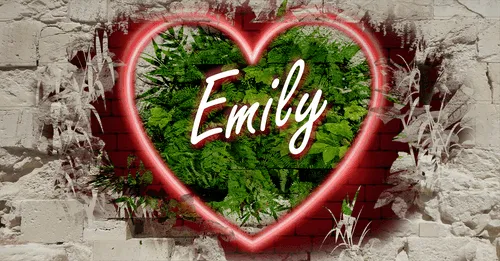 Item #68053287575525751288269231675427811746861684968250582901590729342943997460490 Media