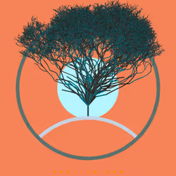 74168867016011539093366687608765447348507224284888477074887990441156318068737