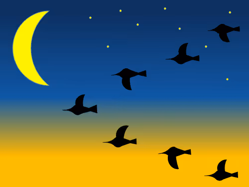 Item #41072103524722802342439355924477002330538405535784749576256202709671981613057 Media