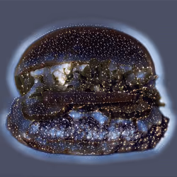 103021099077614825187577421930856695141498909813172536276445923551137501282305