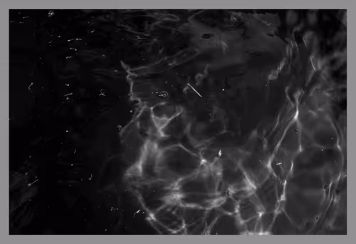 Item #39235584922614142939660206561436219704889843519746520476094237019031872733185 Media