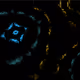 99650105096816163496474084497643236209470819814416644438757201852466110398465