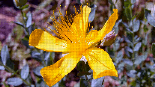 Item #75866091947728652238534111254584504918190435733442380629681527386734814298113 Media