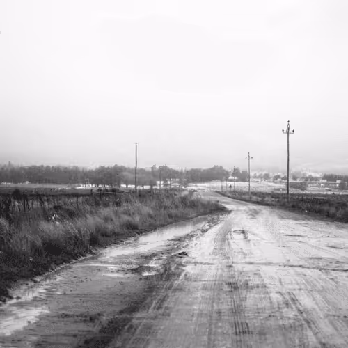 Item #92453260968842960055191976889840526664419783576829596708965298273599726026753 Media