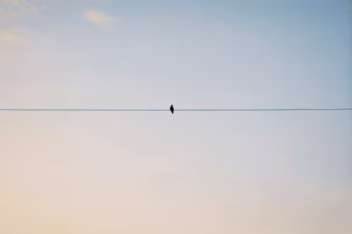 Item #28964163645654338143152172792436298071514431193908070684928163997662142529537 Media