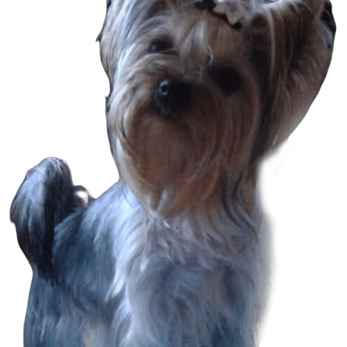 Untitled Collection #271652169