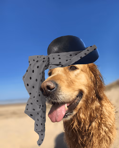 Item #26839399415497039076862880694069072006331525189107682525417321741204133511169 Media