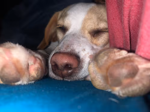 Item #37715491571957461099000539797744000838514111525343003399530504626816482803762 Media