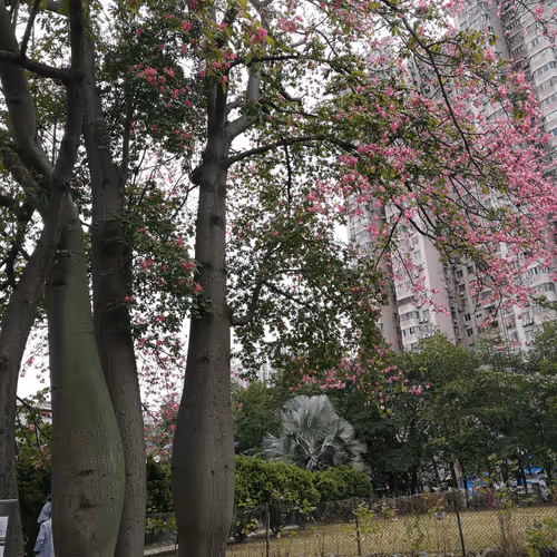 Untitled Collection #101820435