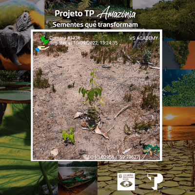 Item #8500196597889277390194123329501889087166328879864934763448348994140616261633 Media