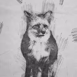 11276162529628641556553056529614973332754405277106184420845745162060637929473