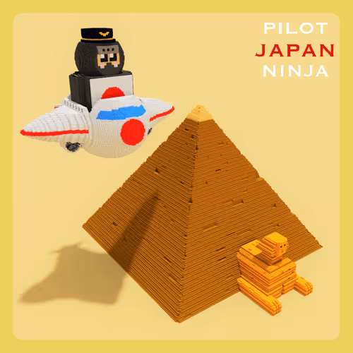 Pilot NINJA in Egypt
