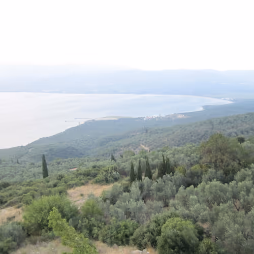 Untitled Collection #691321268