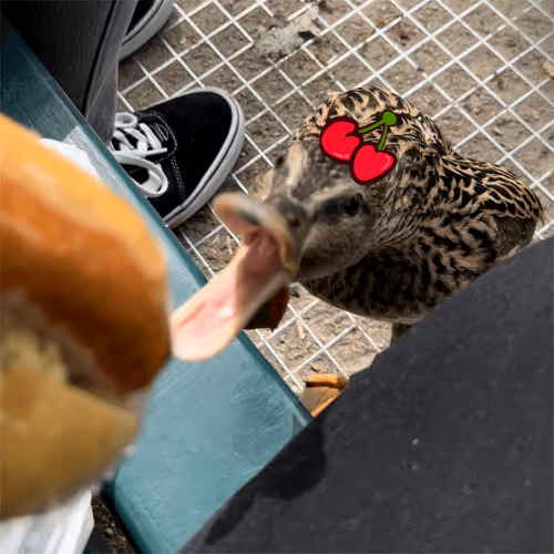 Item #90600272391332264031342606910451339037246268099451678138782692203011892051969 Media