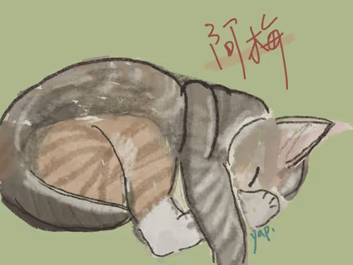 Item #12338872965748960330777031479598626524487181570575812676954416084225655570457 Media